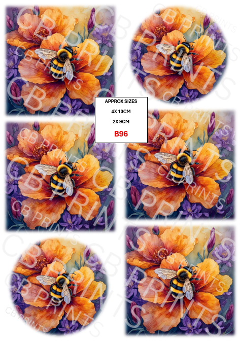 Bee design B96