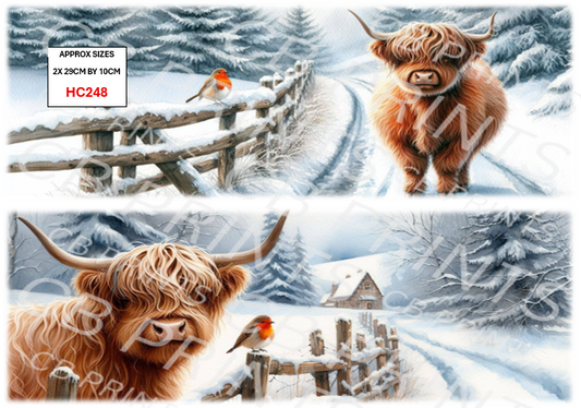 Highland cow design HC248