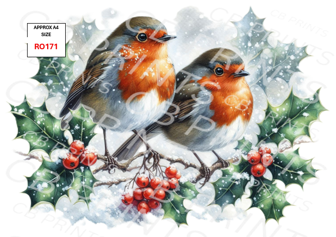 Robin Decoupage Print RO171 | Mulberry Paper