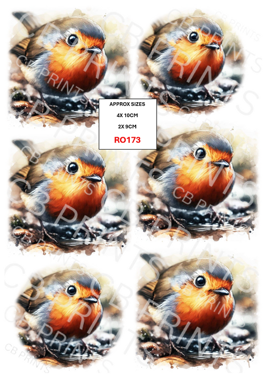 Robin design RO173