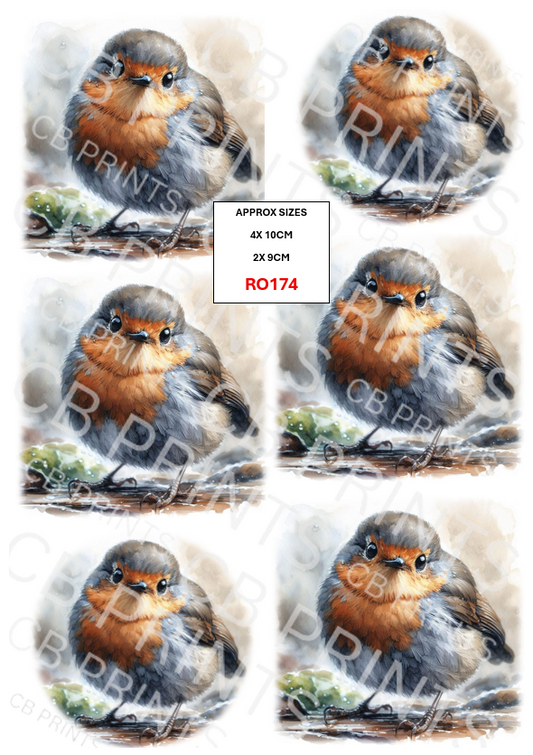 Robin design RO174