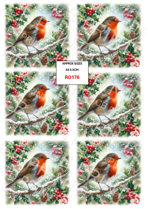 Robin design RO176