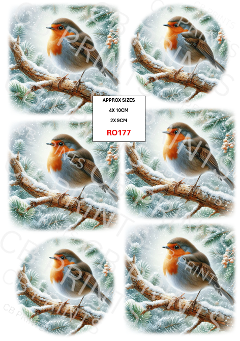 Robin design RO177