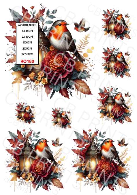 Robin design RO180