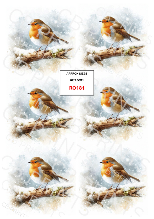 Robin design RO181