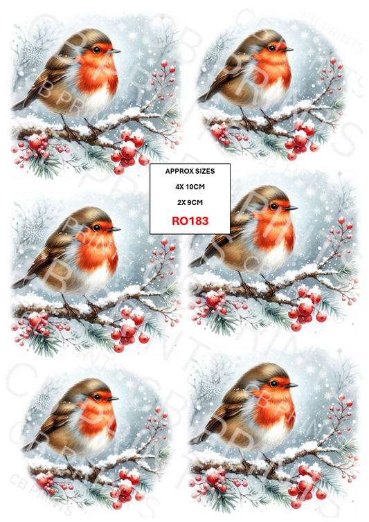 Robin design RO183
