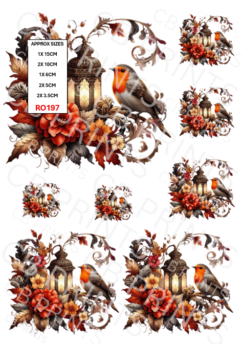 Robin design RO197