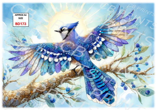 Bird design BD173