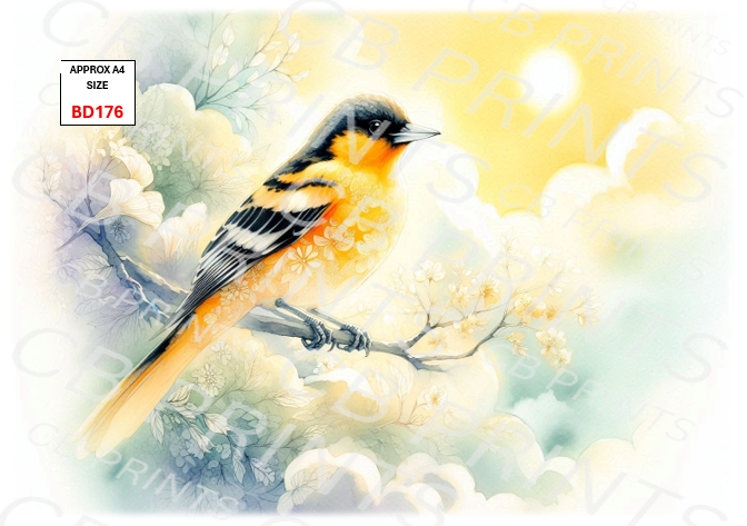 Bird design BD176