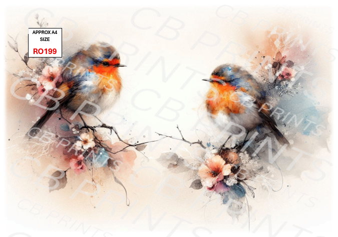 Robin design RO199