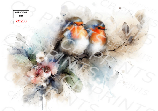 Robin design RO200