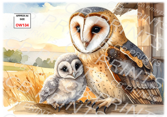 Owl design OW134