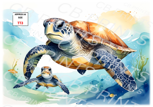 Turtle design TT3