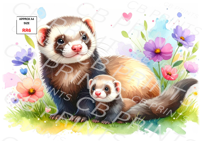 Ferret design RR6