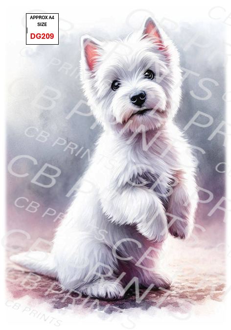 Dog design DG209