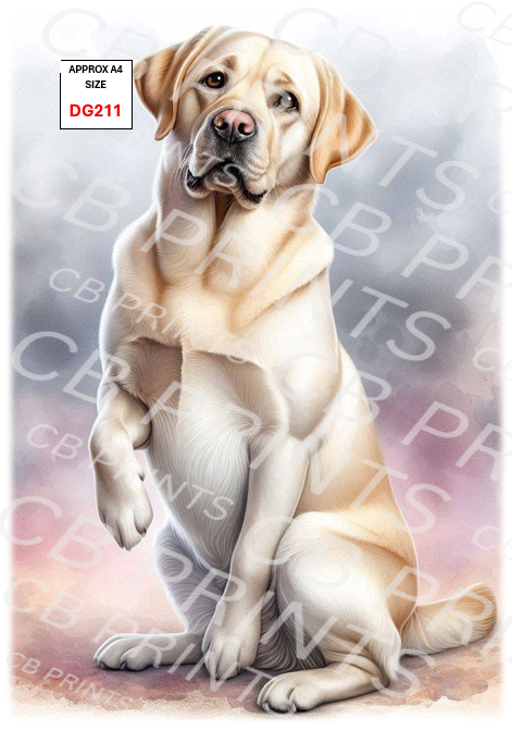 Dog design DG211