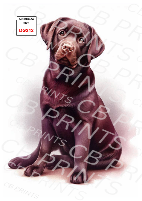 Dog design DG212