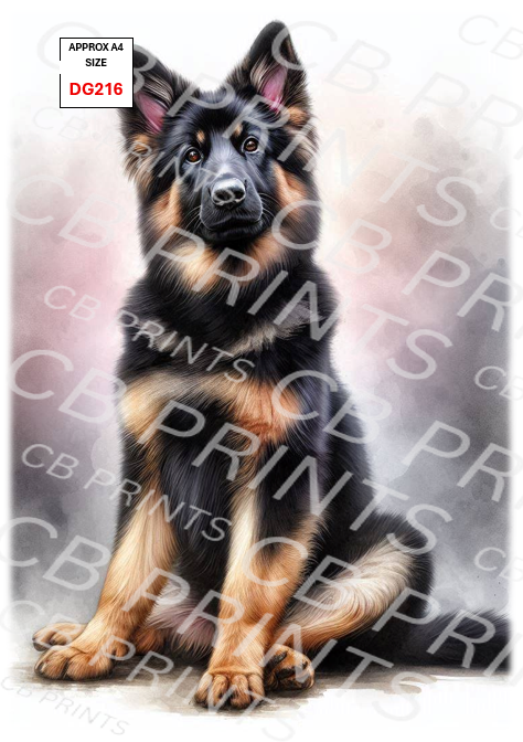 Dog design DG216