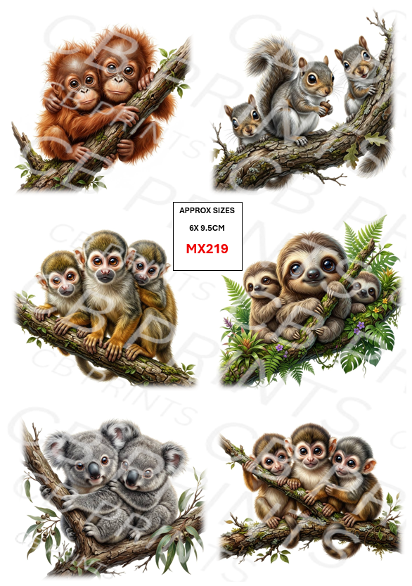 Mixed animal designs MX219