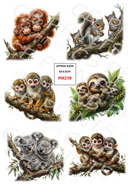 Mixed animal designs MX219