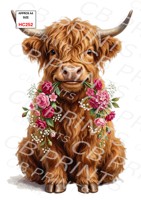 Highland cow design HC252