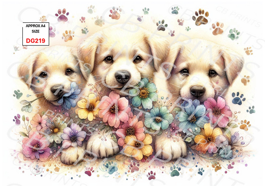 Dog design DG219