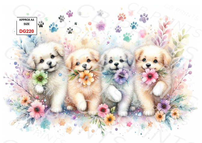 Dog design DG220