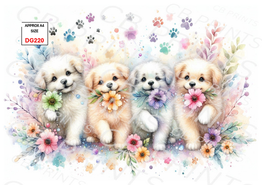 Dog design DG220