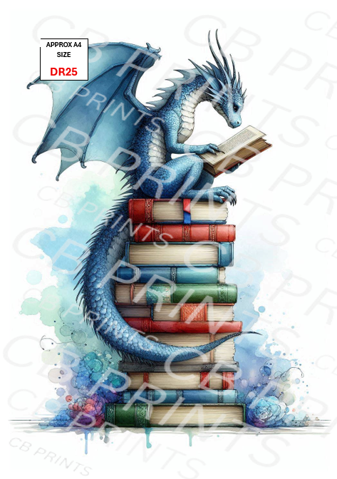 Dragon design DR25