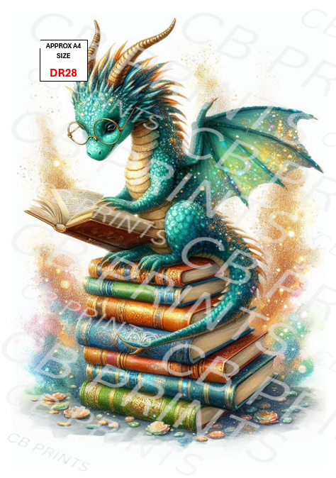 Dragon design DR28