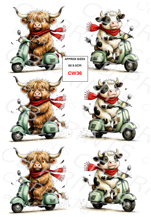 cow design CW36