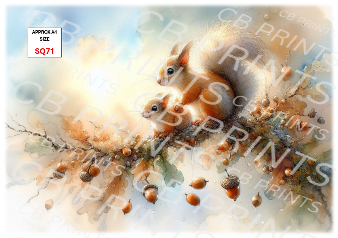 Squirrel design SQ71