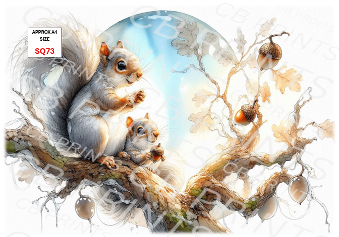 Squirrel design SQ73