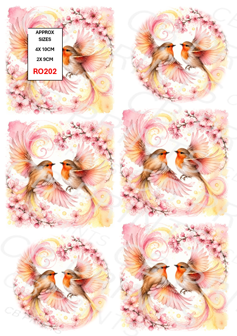 Robin design RO202