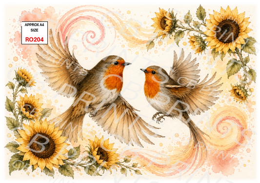 Robin design RO204