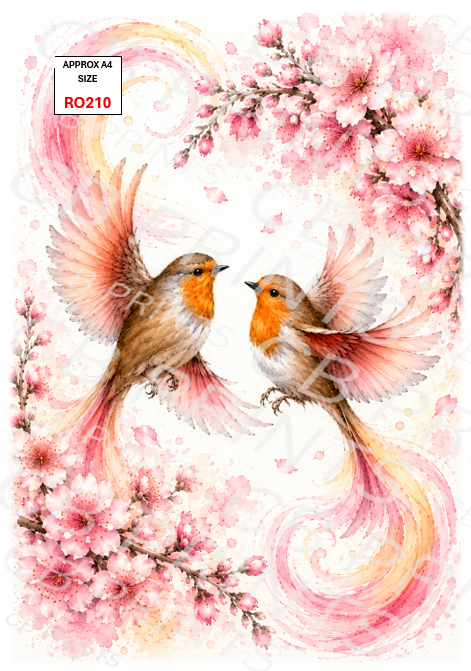 Robin design RO210