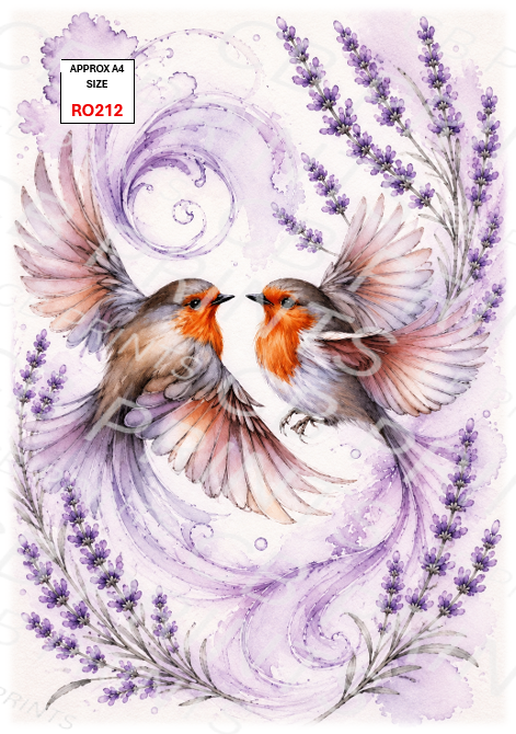 Robin design RO212