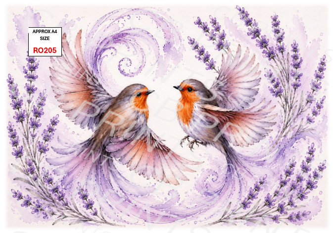 Robin design RO205