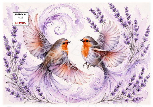Robin design RO205