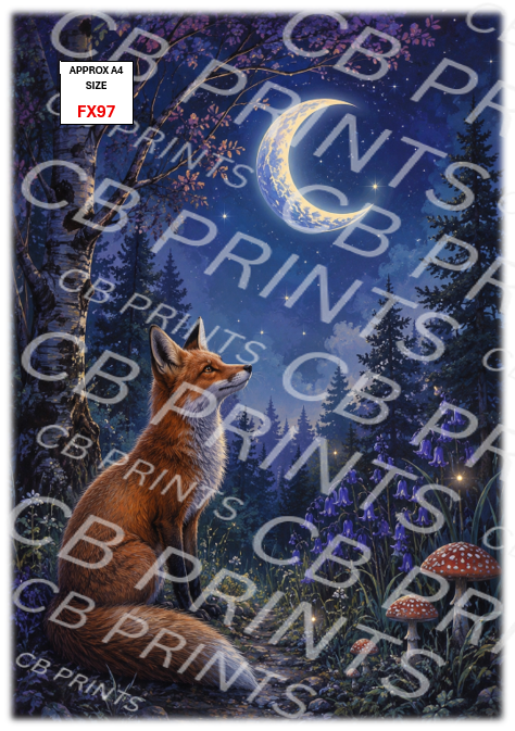 Fox design FX97