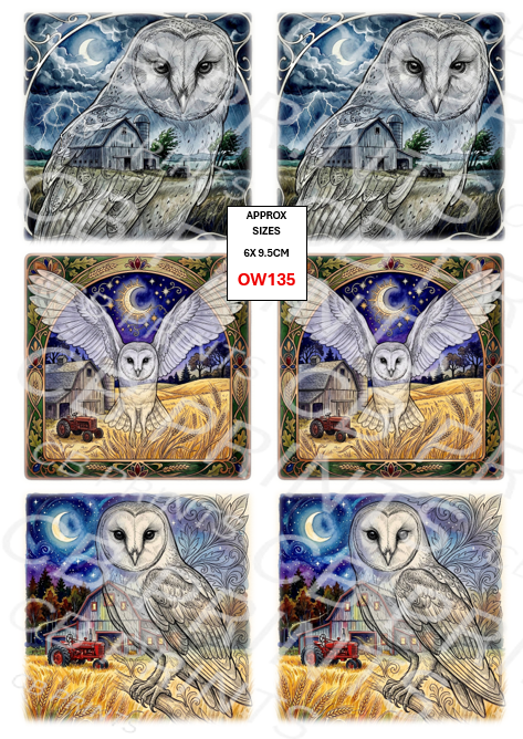 Owl design OW135