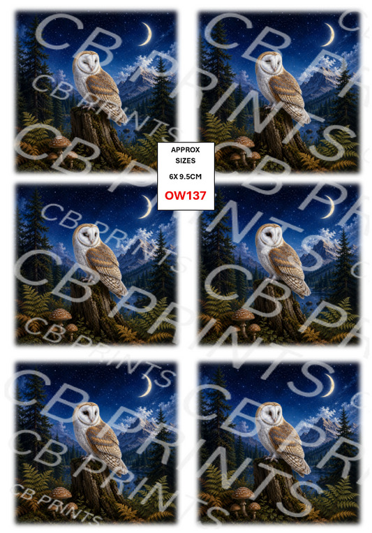 Owl design OW137