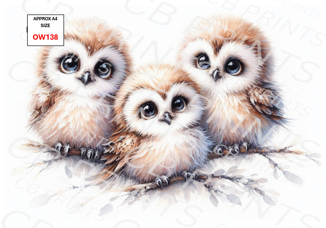 Owl design OW138