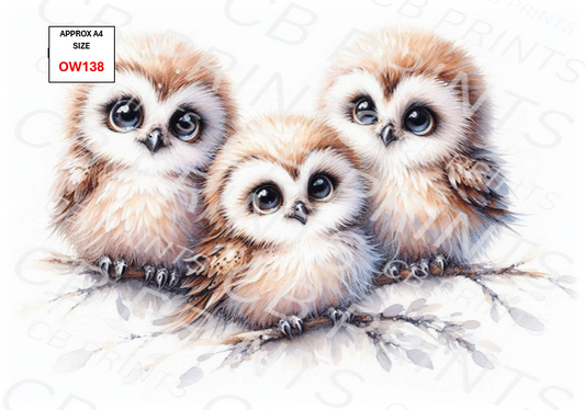 Owl design OW138