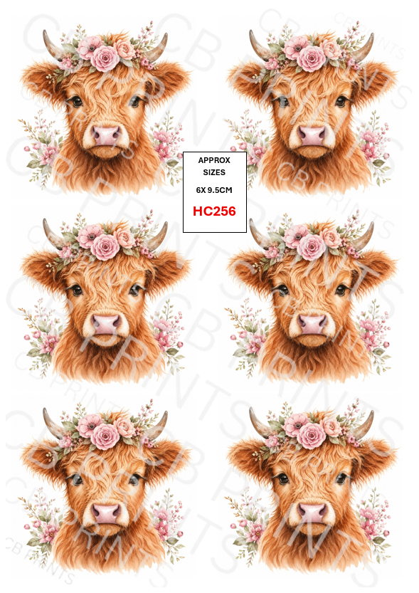 Highland cow design HC256