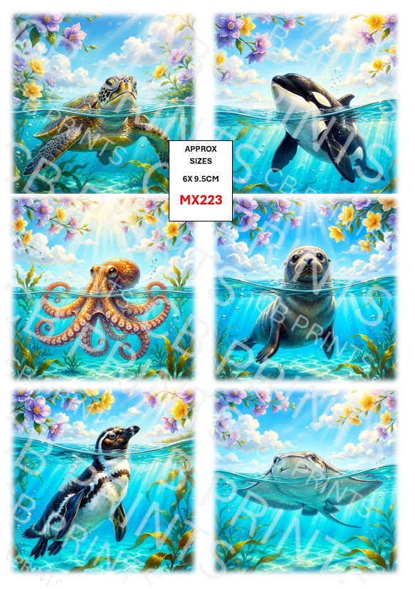Mixed underwater designs MX223