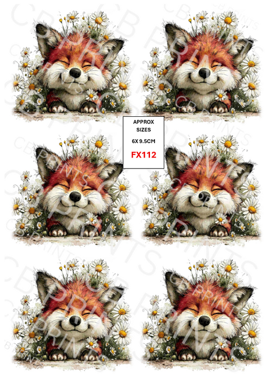 Fox design FX112