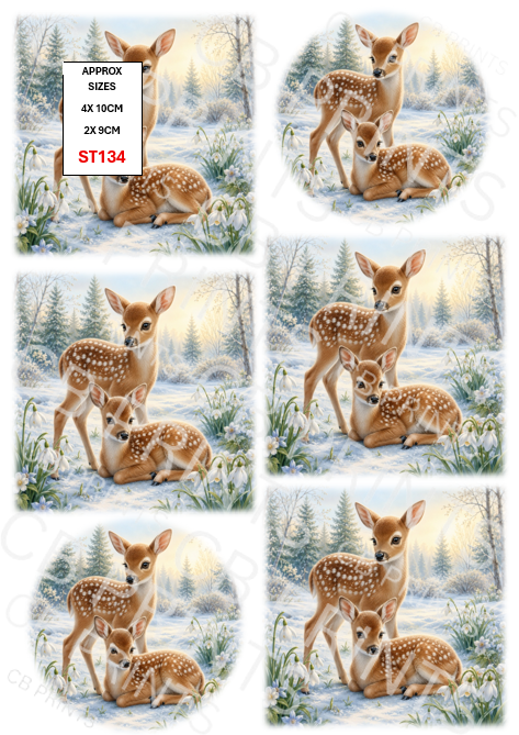Stag design ST134