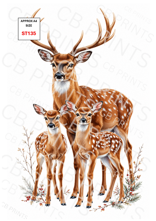 Stag design ST135