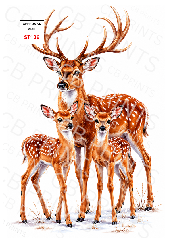 Stag design ST136